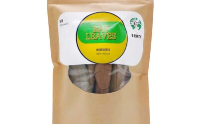 Discover the Magic of Bearth Bay Leaves